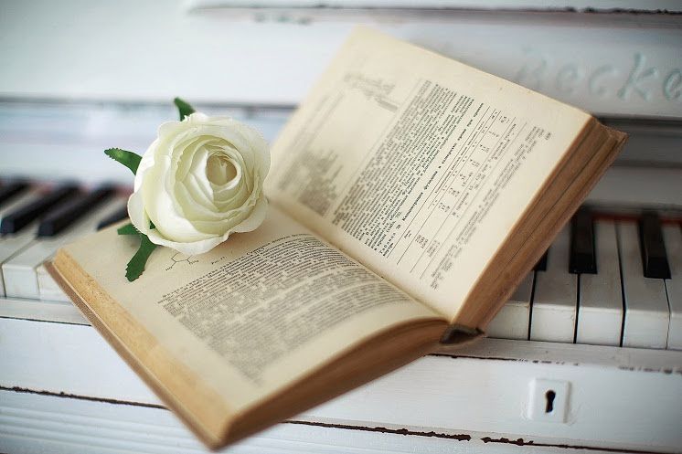 Аренда фотостудии Белая дача Зал Зал 1 В Сочи | Фото 