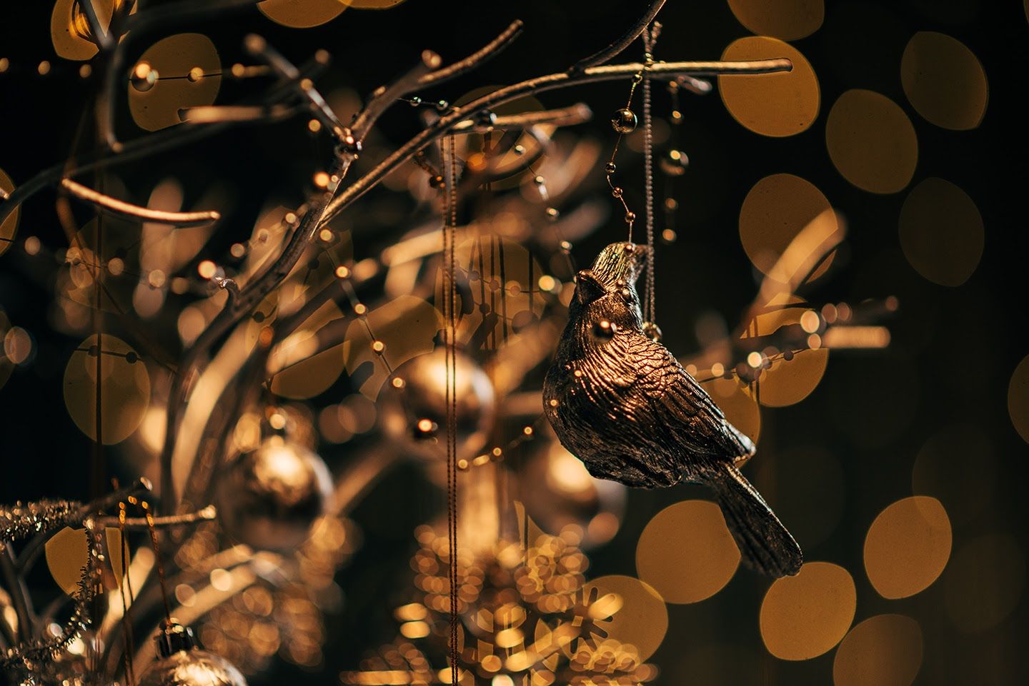 Аренда фотостудии Лавина Зал Лавина В Мурманске | Фото 