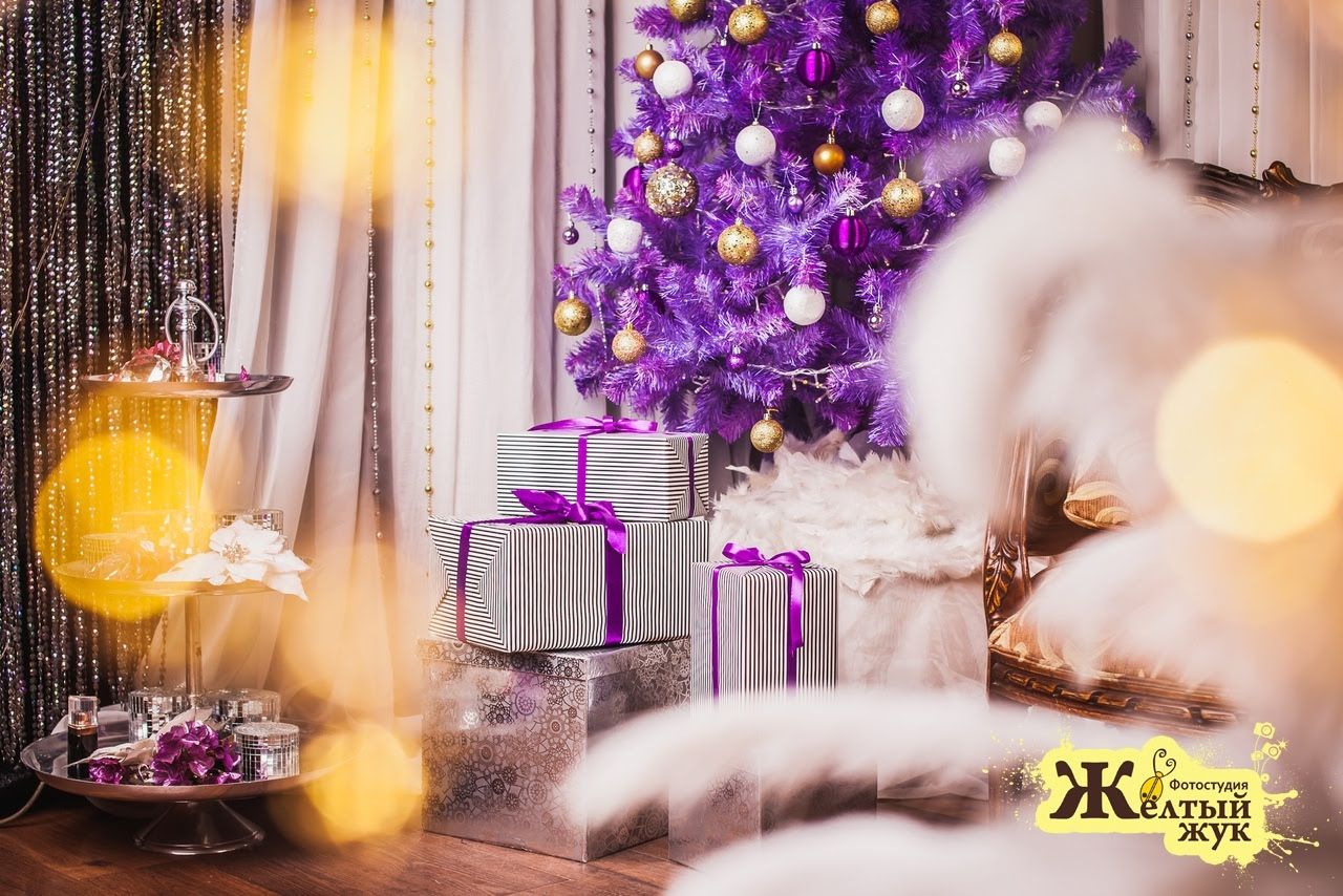 Аренда фотостудии Жёлтый Жук Зал Жёлтый Жук В Мурманске | Фото 