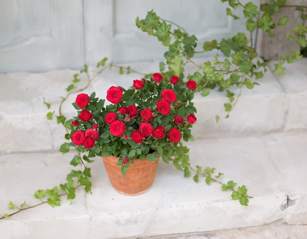 Изображение статьи