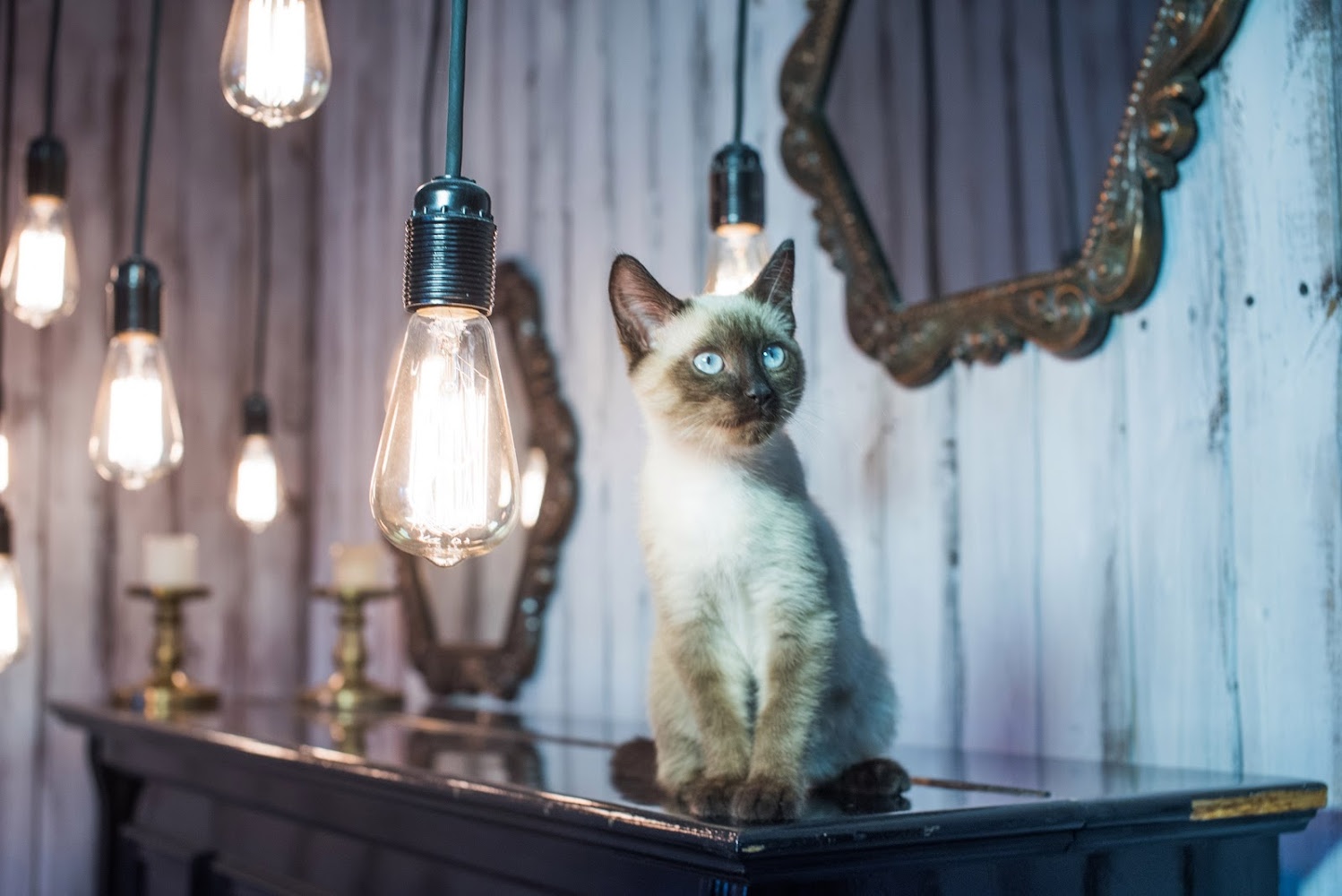 Изображение статьи