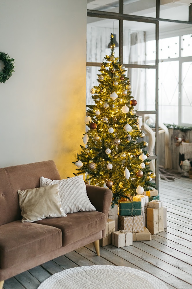 Аренда фотостудии Мята Зал Мята в Екатеринбурге | Фото 