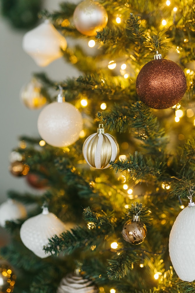 Аренда фотостудии Мята Зал Мята в Екатеринбурге | Фото 