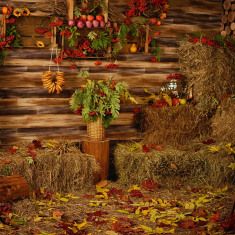 Аренда фотостудии STEKLO FOTO Зал Основной в Санкт-Петербурге | Фото 