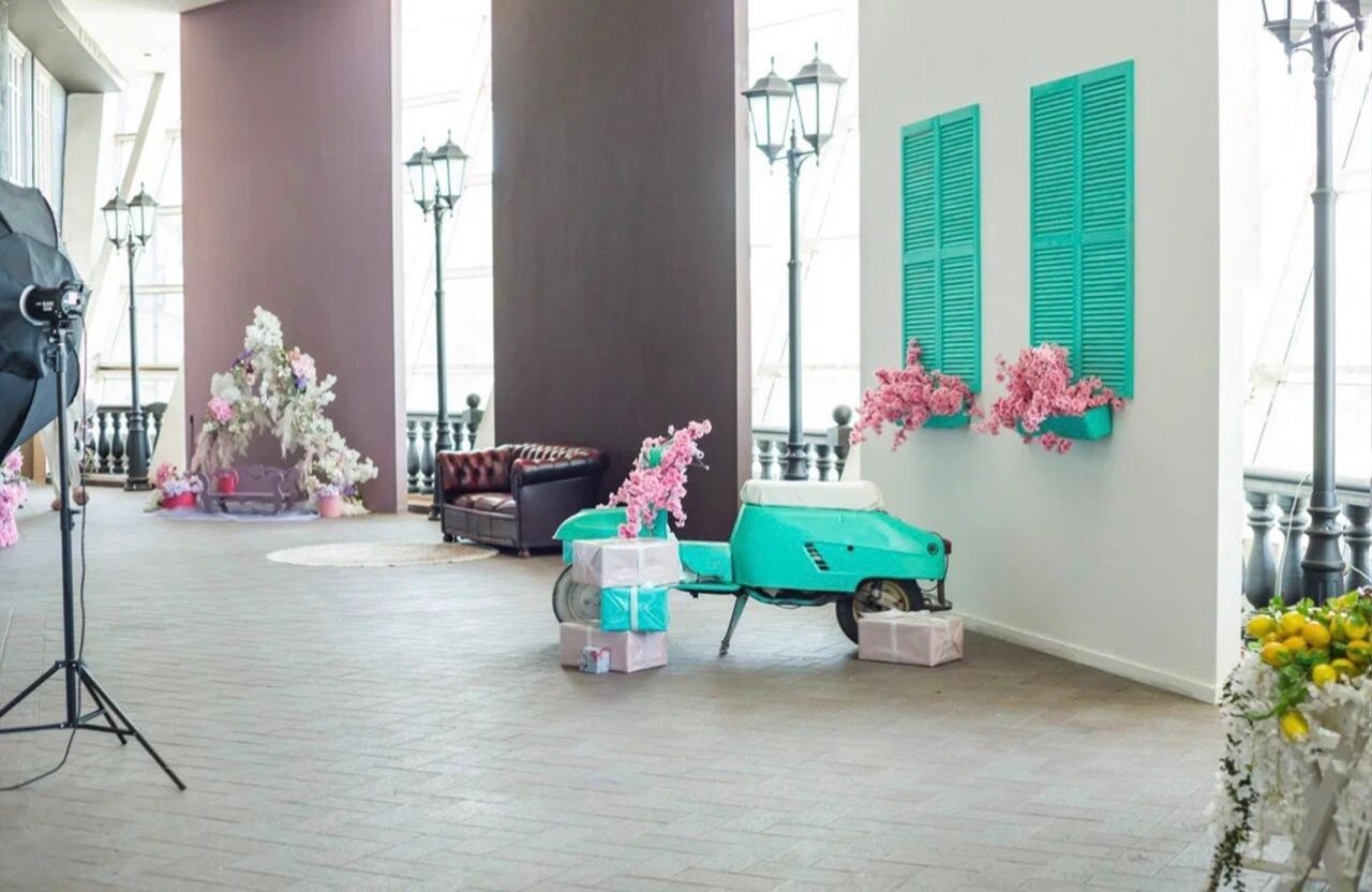 Аренда фотостудии Зоофотостудия Зал Скутер тиффани в Москве | Фото 