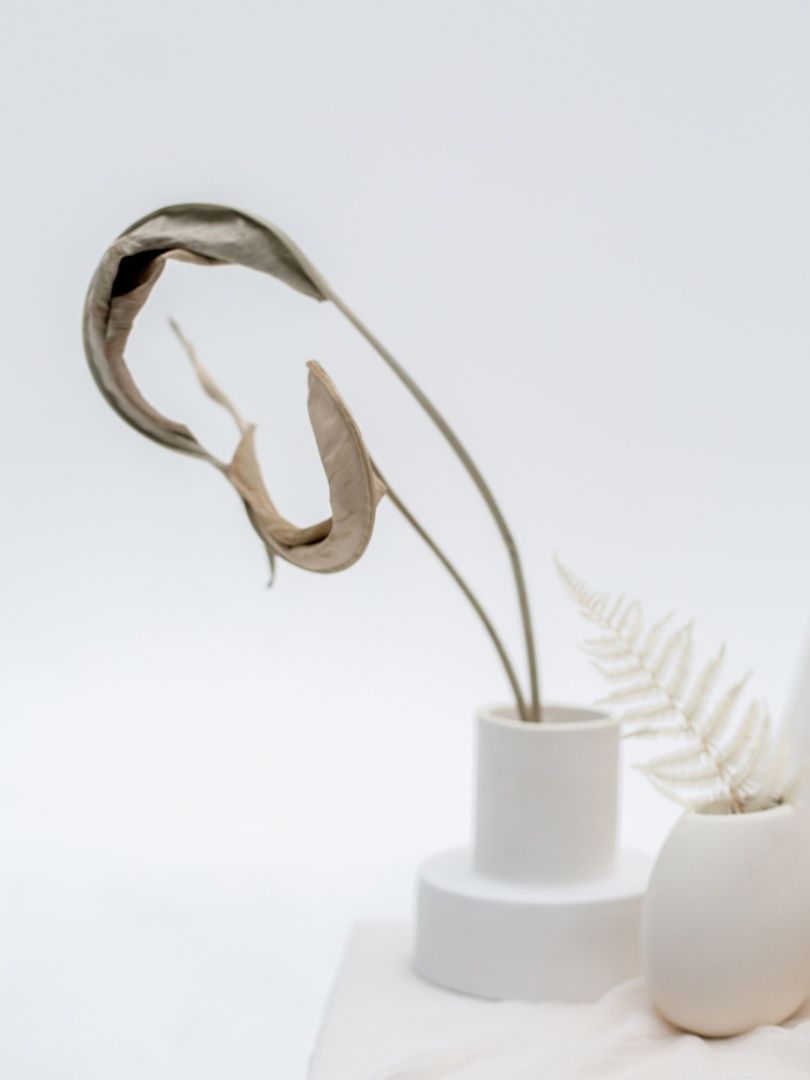 Аренда фотостудии Vladislav Smirnov Зал White  в Иваново | Фото 