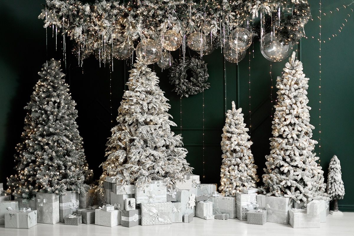 Аренда фотостудии Royal Studio РОЯЛ в Новосибирске | Фото 