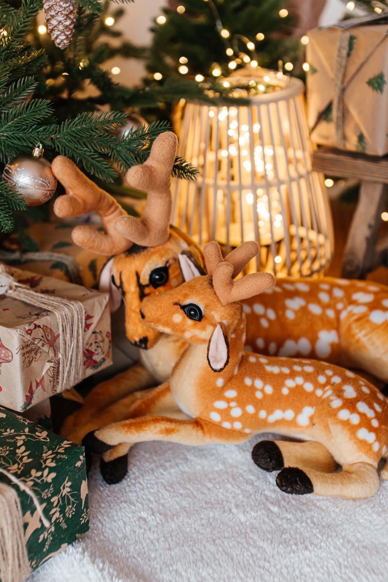 Аренда фотостудии Domik Зал Family в Новосибирске | Фото 